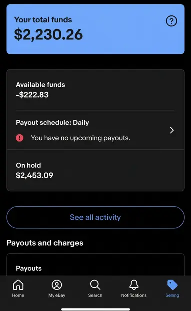 eBay satıcı ödənişləri və gündəlik tapşırıqlar — mobil tətbiq